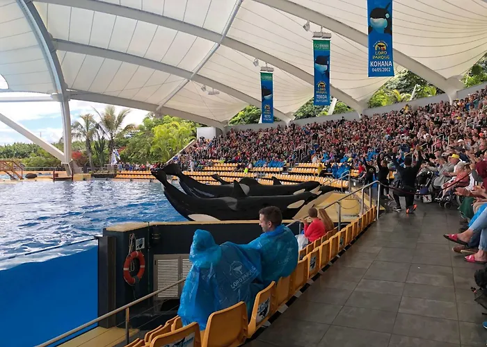 La Arena By Interhome *